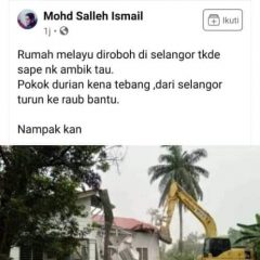 Speaker tibai jelutong